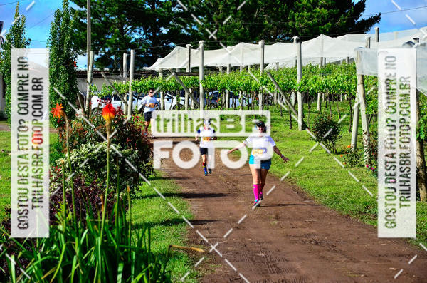 Buy your photos of the eventCIRCUITO DOS VINHEDOS - VINHOS DE ALTITUDE on Fotop