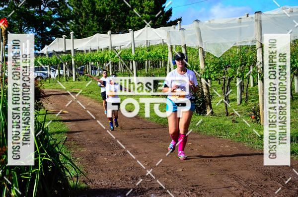 Buy your photos of the eventCIRCUITO DOS VINHEDOS - VINHOS DE ALTITUDE on Fotop