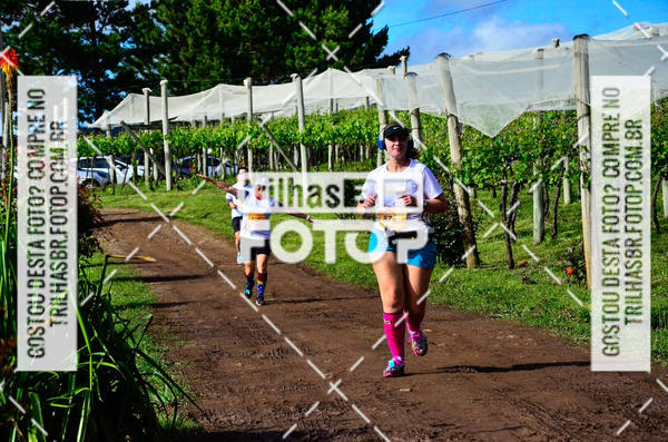Buy your photos of the eventCIRCUITO DOS VINHEDOS - VINHOS DE ALTITUDE on Fotop