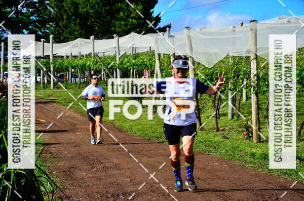 Buy your photos of the eventCIRCUITO DOS VINHEDOS - VINHOS DE ALTITUDE on Fotop