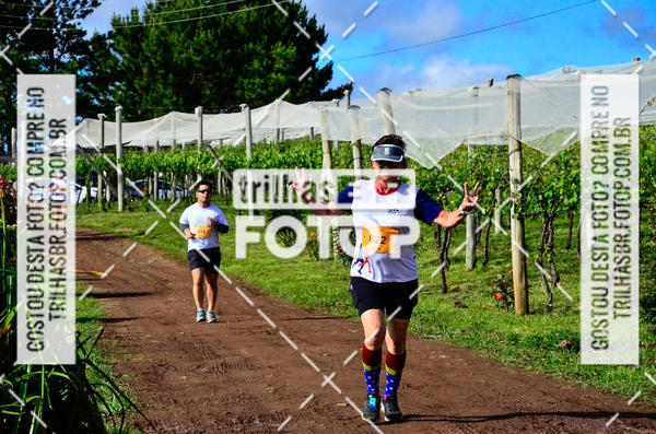 Buy your photos of the eventCIRCUITO DOS VINHEDOS - VINHOS DE ALTITUDE on Fotop