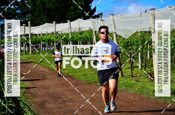 Buy your photos of the eventCIRCUITO DOS VINHEDOS - VINHOS DE ALTITUDE on Fotop