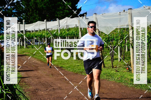 Buy your photos of the eventCIRCUITO DOS VINHEDOS - VINHOS DE ALTITUDE on Fotop
