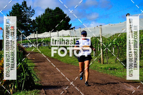 Buy your photos of the eventCIRCUITO DOS VINHEDOS - VINHOS DE ALTITUDE on Fotop