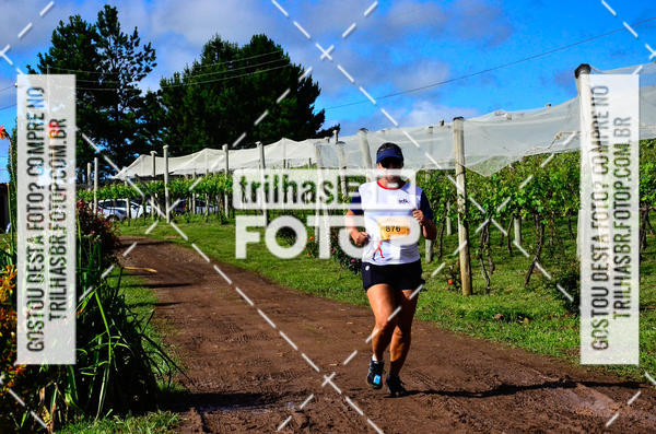 Buy your photos of the eventCIRCUITO DOS VINHEDOS - VINHOS DE ALTITUDE on Fotop