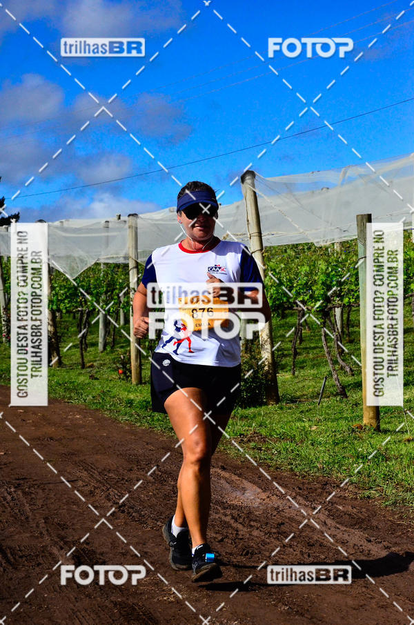 Buy your photos of the eventCIRCUITO DOS VINHEDOS - VINHOS DE ALTITUDE on Fotop