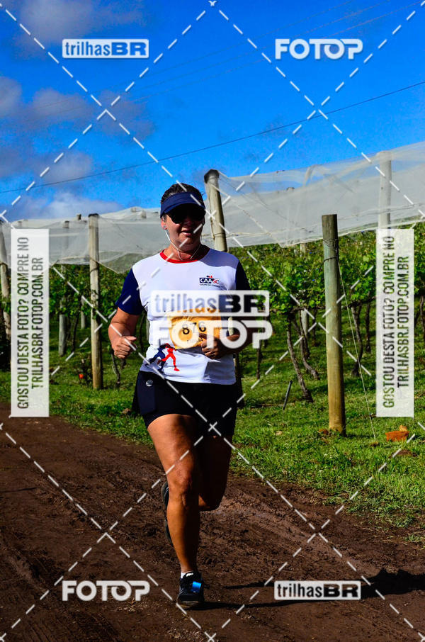 Buy your photos of the eventCIRCUITO DOS VINHEDOS - VINHOS DE ALTITUDE on Fotop