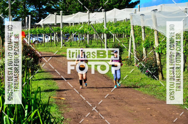 Buy your photos of the eventCIRCUITO DOS VINHEDOS - VINHOS DE ALTITUDE on Fotop