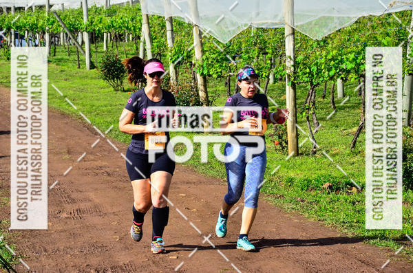 Buy your photos of the eventCIRCUITO DOS VINHEDOS - VINHOS DE ALTITUDE on Fotop