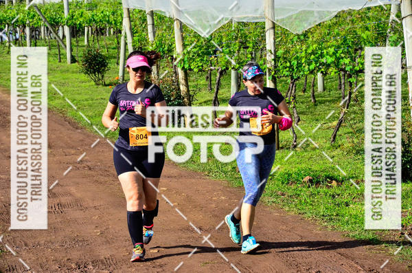 Buy your photos of the eventCIRCUITO DOS VINHEDOS - VINHOS DE ALTITUDE on Fotop