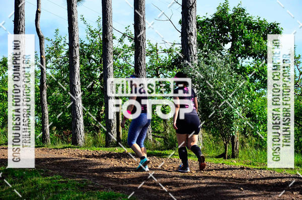 Buy your photos of the eventCIRCUITO DOS VINHEDOS - VINHOS DE ALTITUDE on Fotop