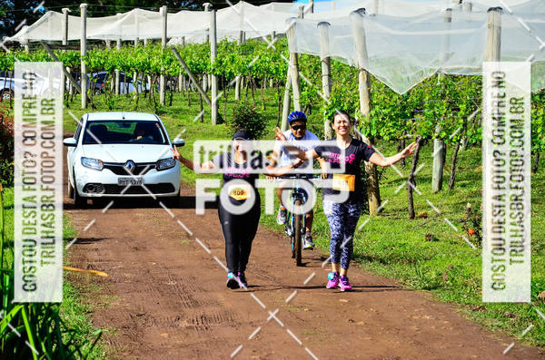Buy your photos of the eventCIRCUITO DOS VINHEDOS - VINHOS DE ALTITUDE on Fotop