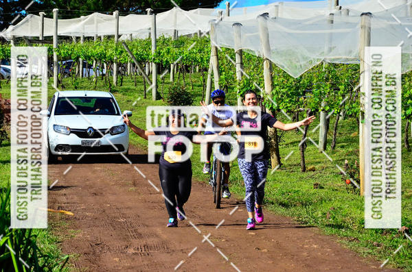 Buy your photos of the eventCIRCUITO DOS VINHEDOS - VINHOS DE ALTITUDE on Fotop