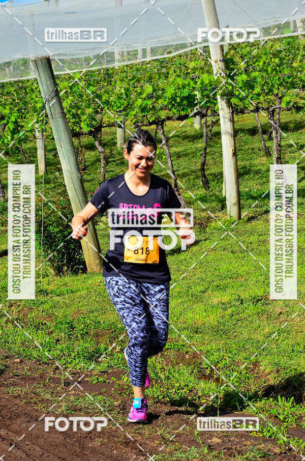 Buy your photos of the eventCIRCUITO DOS VINHEDOS - VINHOS DE ALTITUDE on Fotop