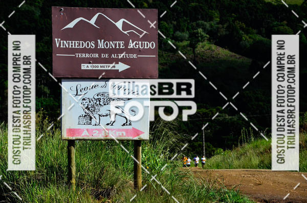 Buy your photos of the eventCIRCUITO DOS VINHEDOS - VINHOS DE ALTITUDE on Fotop