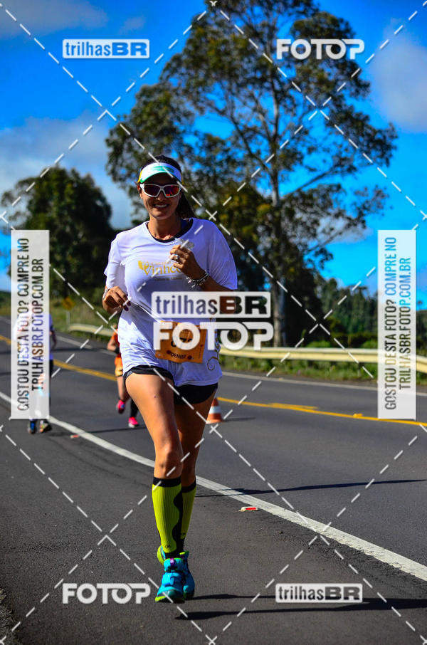 Buy your photos of the eventCIRCUITO DOS VINHEDOS - VINHOS DE ALTITUDE on Fotop