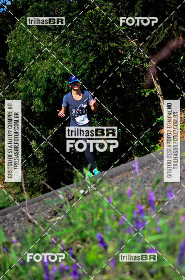 Buy your photos of the eventCIRCUITO DOS VINHEDOS - VINHOS DE ALTITUDE on Fotop
