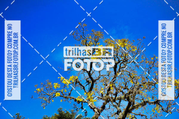 Buy your photos of the eventCIRCUITO DOS VINHEDOS - VINHOS DE ALTITUDE on Fotop