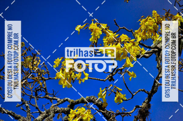 Buy your photos of the eventCIRCUITO DOS VINHEDOS - VINHOS DE ALTITUDE on Fotop
