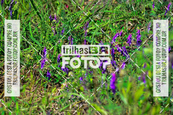 Buy your photos of the eventCIRCUITO DOS VINHEDOS - VINHOS DE ALTITUDE on Fotop