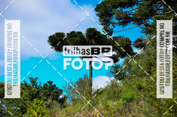 Buy your photos of the eventCIRCUITO DOS VINHEDOS - VINHOS DE ALTITUDE on Fotop