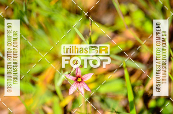 Buy your photos of the eventCIRCUITO DOS VINHEDOS - VINHOS DE ALTITUDE on Fotop