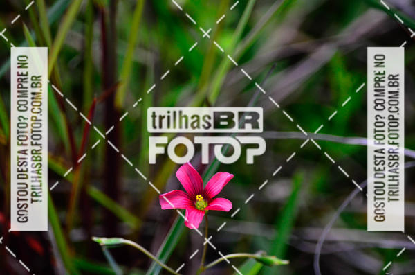 Buy your photos of the eventCIRCUITO DOS VINHEDOS - VINHOS DE ALTITUDE on Fotop