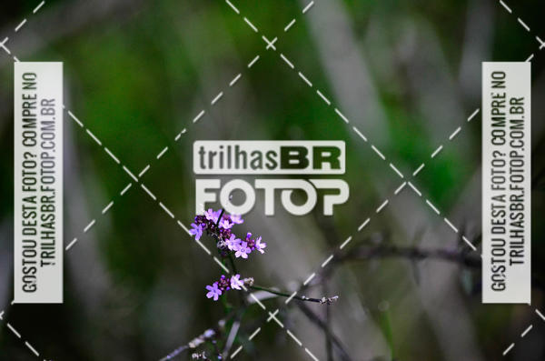 Buy your photos of the eventCIRCUITO DOS VINHEDOS - VINHOS DE ALTITUDE on Fotop