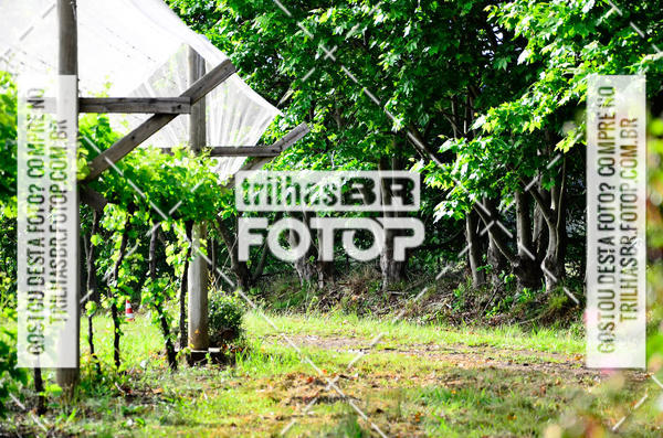 Buy your photos of the eventCIRCUITO DOS VINHEDOS - VINHOS DE ALTITUDE on Fotop
