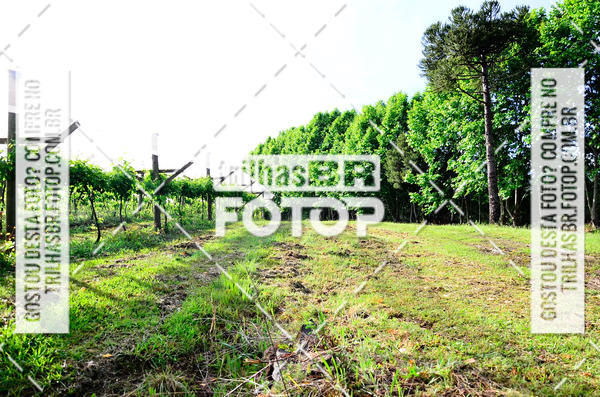 Buy your photos of the eventCIRCUITO DOS VINHEDOS - VINHOS DE ALTITUDE on Fotop