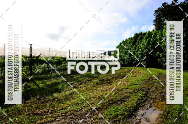 Buy your photos of the eventCIRCUITO DOS VINHEDOS - VINHOS DE ALTITUDE on Fotop