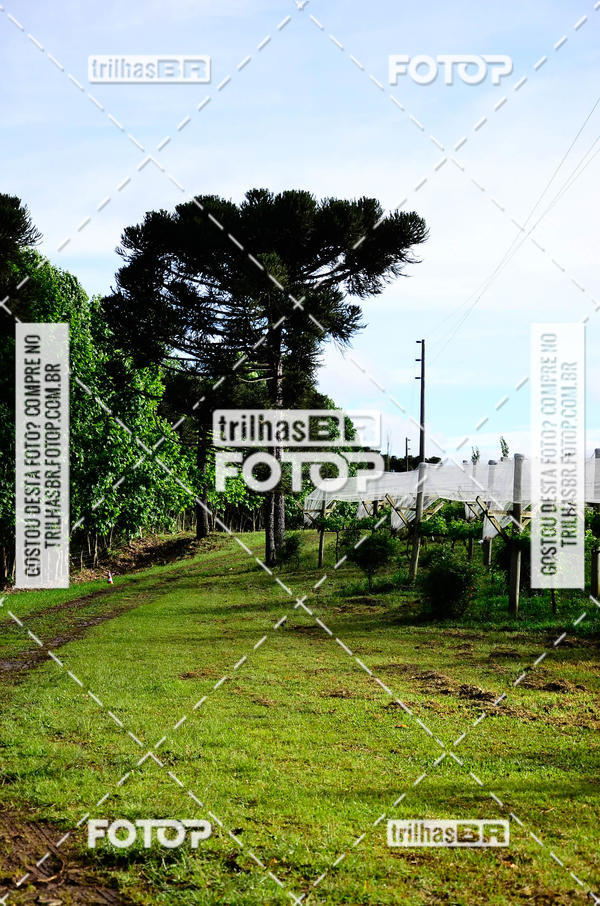 Buy your photos of the eventCIRCUITO DOS VINHEDOS - VINHOS DE ALTITUDE on Fotop