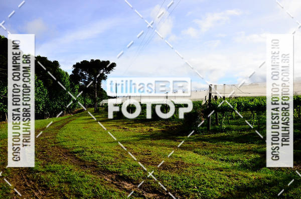 Buy your photos of the eventCIRCUITO DOS VINHEDOS - VINHOS DE ALTITUDE on Fotop