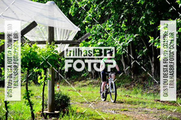 Buy your photos of the eventCIRCUITO DOS VINHEDOS - VINHOS DE ALTITUDE on Fotop