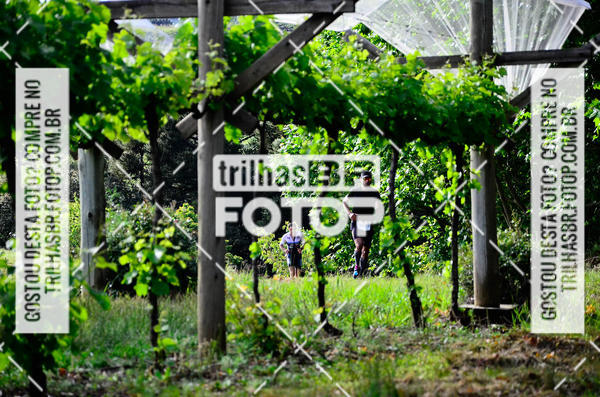 Buy your photos of the eventCIRCUITO DOS VINHEDOS - VINHOS DE ALTITUDE on Fotop