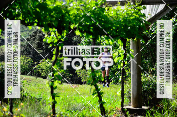 Buy your photos of the eventCIRCUITO DOS VINHEDOS - VINHOS DE ALTITUDE on Fotop