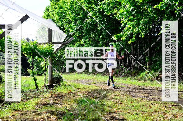Buy your photos of the eventCIRCUITO DOS VINHEDOS - VINHOS DE ALTITUDE on Fotop
