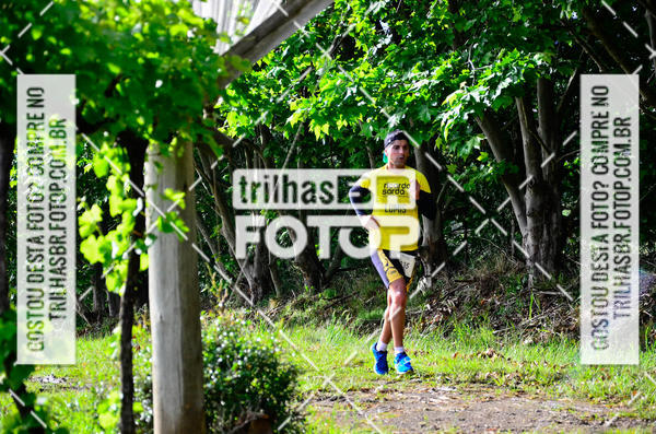 Buy your photos of the eventCIRCUITO DOS VINHEDOS - VINHOS DE ALTITUDE on Fotop