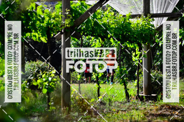 Buy your photos of the eventCIRCUITO DOS VINHEDOS - VINHOS DE ALTITUDE on Fotop