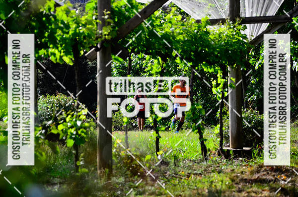 Buy your photos of the eventCIRCUITO DOS VINHEDOS - VINHOS DE ALTITUDE on Fotop