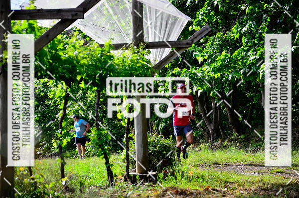 Buy your photos of the eventCIRCUITO DOS VINHEDOS - VINHOS DE ALTITUDE on Fotop