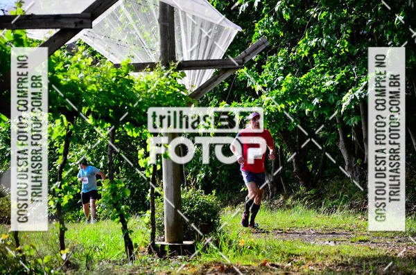 Buy your photos of the eventCIRCUITO DOS VINHEDOS - VINHOS DE ALTITUDE on Fotop
