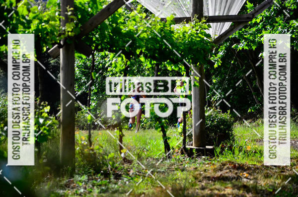 Buy your photos of the eventCIRCUITO DOS VINHEDOS - VINHOS DE ALTITUDE on Fotop