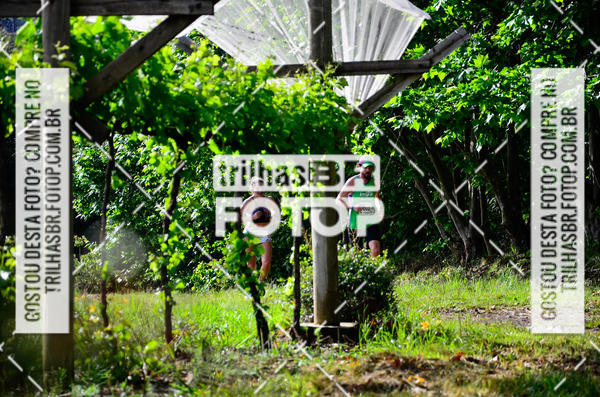 Buy your photos of the eventCIRCUITO DOS VINHEDOS - VINHOS DE ALTITUDE on Fotop