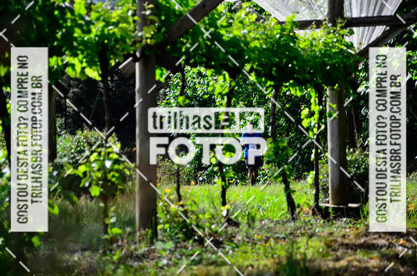 Buy your photos of the eventCIRCUITO DOS VINHEDOS - VINHOS DE ALTITUDE on Fotop