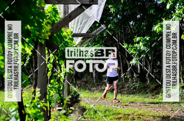 Buy your photos of the eventCIRCUITO DOS VINHEDOS - VINHOS DE ALTITUDE on Fotop