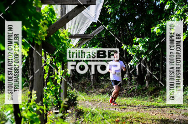 Buy your photos of the eventCIRCUITO DOS VINHEDOS - VINHOS DE ALTITUDE on Fotop
