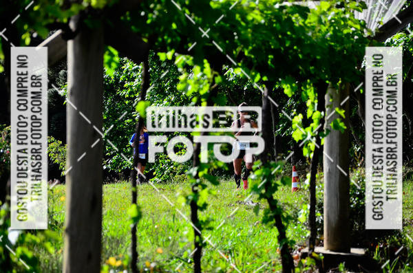 Buy your photos of the eventCIRCUITO DOS VINHEDOS - VINHOS DE ALTITUDE on Fotop