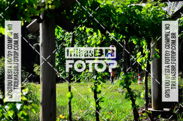 Buy your photos of the eventCIRCUITO DOS VINHEDOS - VINHOS DE ALTITUDE on Fotop