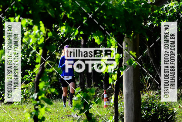 Buy your photos of the eventCIRCUITO DOS VINHEDOS - VINHOS DE ALTITUDE on Fotop